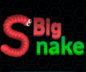 Big Snake.io