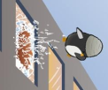 Learn to Fly 2