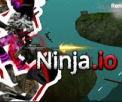 Ninja Io