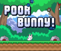 Poor Bunny
