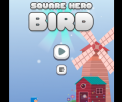 Square Hero Bird